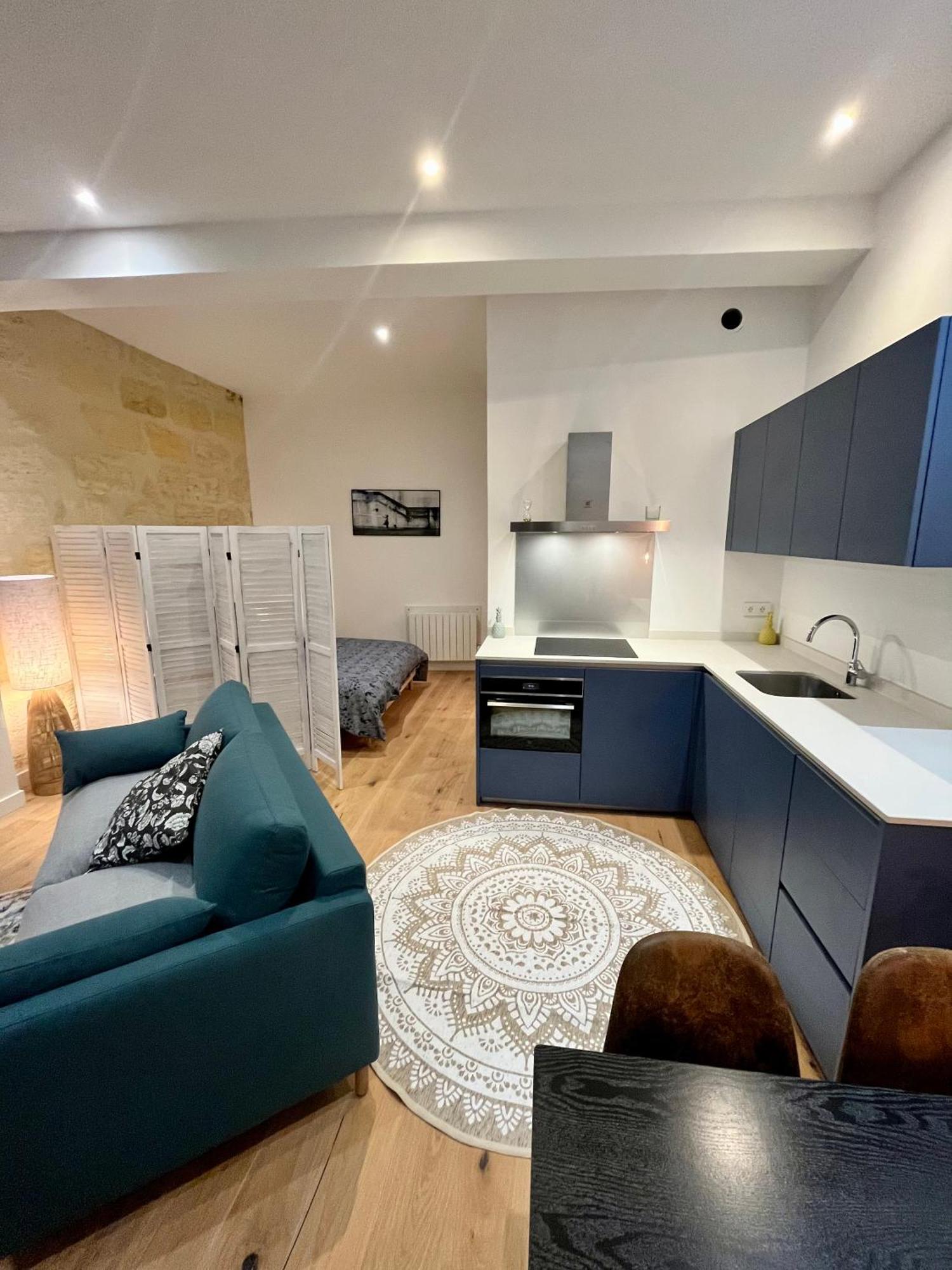 Apartment Grand Loft Vieux *